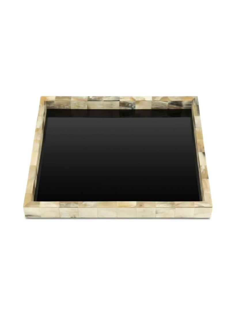 image Піднос Horn BG H4 40X35